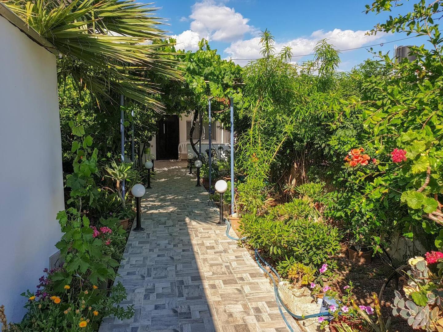 Maria'S House, With Garden Villa Kalamaki  Exteriör bild